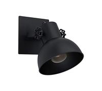 Eglo Barnstaple 1 Lámpara de techo con focos, Negro