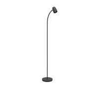 Eglo Carlo Lámpara de pie con brazo flexible, para salón, orientable