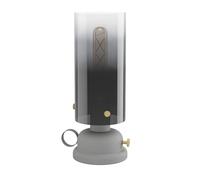 Eglo Lámpara de mesa LED Gargrave, iluminación de sobremesa diseño luz | de aceite, fuente de foco para salón de metal gris y latón con vidrio ahumado, foco de noche con casquillo E27