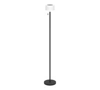 Eglo Montapalma-L, lámpara de pie solar, batería inalámbrica, con cadena de encendido, lámpara de salón regulable de acero en negro, plástico en blanco, blanco cálido, RGB, IP54