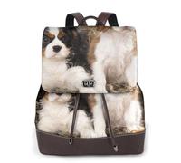 EgoMed Cachorros pequeños de Cavalier King Charles Spaniel,Mochila para mujer, impermeable, ligera, de piel sintética, moderna, para viajes.