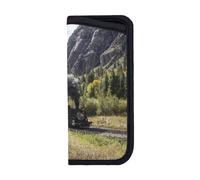 EgoMed Estuche para gafas, funda para gafas antiarañazos, estuche portátil para gafas, estuche para gafas de sol, tren de locomotora de vapor impreso lindo