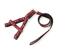 Egurs Juego de arneses y Correas Perros pequeños/medianos/Grandes Correas de Pecho de Seguridad para Caminar al Aire Libre Patrón de Copo de Nieve de Navidad M