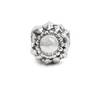 Eguzkilore Charm Plata de Ley 925 Abalorio Compatible con Pulseras Eguzkicharm, Pandora y Otras Pulseras de Estilo Europeo