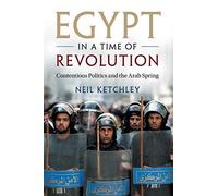 Egypt in a Time of Revolution: Contentious Politics and the Arab Spring (Cambridge Studies in Contentious Politics)