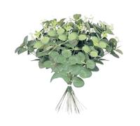 EHDWXVZM 20 Piezas de Ramas de Eucalipto, Decoración de Eucalipto Artificial, Arreglo Floral de Ramas, Eucalipto Simulado, Set de Accesorios, Adecuado para Bodas, Jardines y Hogares