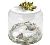 EHERDM Mini terrario de tortuga transparente con tapa y pequeñas piedras coloridas, caja de alimentación de reptiles con cesta para plantas, caja de terrario de micro hábitat, tanque acrílico para