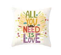 EHOMERY Fundas De Almohada Algodon Cojín para Sofa Todo Lo Que Necesitas Amor con Corazón Terciopelo Colores Exterior Decoración del Sofá La Sala Estar Multicolor 18X18 Inches