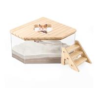 EHOTER Caja de baño de arena para hámster 2024, jerbo de arena, baño de arena, baño de polvo para hámster, caja de arena para hámster, accesorios para hámster (S: pentágono + escalera)
