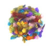 Ehuihuan 100 Unidades de Colores Plumas Decoracion, Plumas de Faisán Naturales No Se Desvanece, Plumas Manualidades para Atrapasueños, Máscara, Decoración