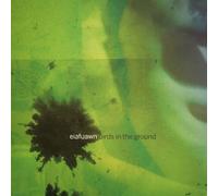 Eiafuawn - Birds in the Ground -White Vinyl- [Vinilo]