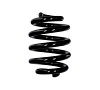 EIBACH Amortiguador Suspensión Muelle Espiral Trasero Ø20 mm 5,5 245 mm