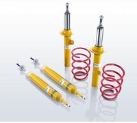Conjunto de Chasis Muelles/Amortiguador Gas Monotubo EIBACH para Citroën Saxo