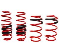 EIBACH Kit de suspensión, muelles para SEAT: Ibiza & VOLKSWAGEN: Polo & SKODA: Fabia (Ref: E20-81-016-01-22)