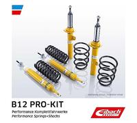 EIBACH E90-25-037-03-22 Juego de resortes y amortiguadores, EIBACH B12 Pro-Kit