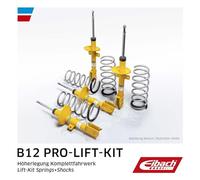 EIBACH E93-20-024-01-22 Juego de resortes y amortiguadores, EIBACH B12 Pro-Lift Kit