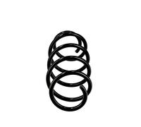 Muelles delantero OE recambio R10865 para Volkswagen Polo 6Q0 411 105S - 85519 -