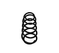 Muelles trasero OE recambio R10869 para Mercedes-Benz A B 169 324 3204 - A169 32