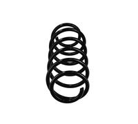 Muelles delantero OE recambio R11041 para Audi 80 8A0 411 105 BG - 8A0 411 105 N