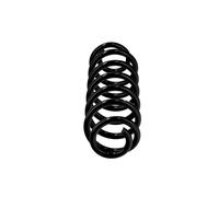 Muelles trasero OE recambio R12460 para Audi A3 3C0511115AQ - 3C0511115AQ - 8649