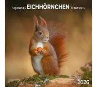 Eichhörnchen 2026: Kalender 2026