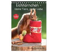 Eichhörnchen - kleine Tiere, große Liebe (Tischkalender 2026 DIN A5 hoch), CALVENDO Monatskalender: Putzige und wilde Eichhörnchen, fotografiert im eigenen Garten