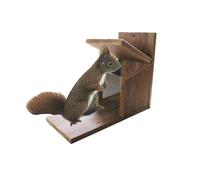 Eichhörnchenkasten 22x12x25CM, Madera Casa Homes Animales Salvajes Glas Forrado
