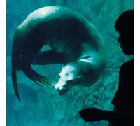 Eien No Uta + Adrenaline Drive