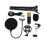 Eighosee BM-800 Micrófono de condensador de grabación profesional para estudio de radiodifusión para computadora