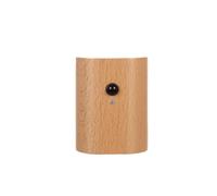 Eighosee Lámpara de Pared LED de Madera con Detección del Cuerpo Humano, Luz Infrarroja, Carga USB, Lámpara Armario B