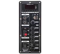 Eighosee Placa Amplificadora de 12 V Amplificador de Altavoz Bluetooth AUX Tarjeta TF GrabacióN en Disco en U Placa de Panel de Altavoz de 6-12 Pulgadas y 80 W