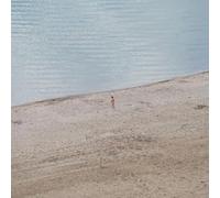 Eight Waves In Search Of An Ocean [Vinilo]
