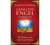 Eilzabeth Clare Gefallene Engel unter uns. Der Kampf um den spirit (Tapa blanda)