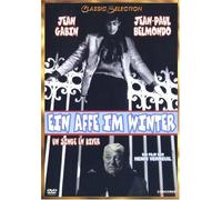 Ein Affe im Winter [Alemania] [DVD]