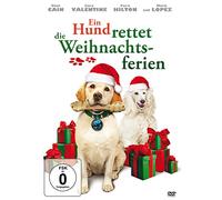 Ein Hund rettet die Weihnachtsferien [Alemania] [DVD]