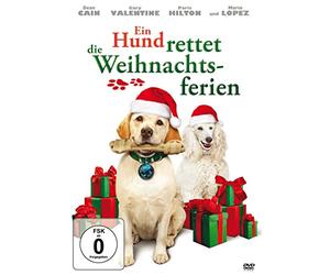 Ein Hund rettet die Weihnachtsferien [Alemania] [DVD]