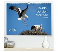 Ein Jahr bei den Störchen (hochwertiger Premium Wandkalender 2026 DIN A2 quer), Kunstdruck in Hochglanz: Intensive Einblicke in das Leben der Weißstörche