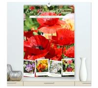 Ein Jahr voller Blumen (hochwertiger Premium Wandkalender 2026 DIN A2 hoch), Kunstdruck in Hochglanz: Ein blühender Garten bringt Farbe und Freude ins Leben