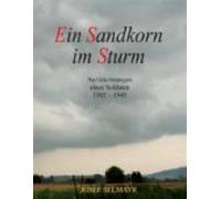 Ein Sandkorn Im Sturm (ebook)