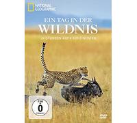Ein Tag in der Wildnis - 24 Stunden auf 4 Kontinenten - National Geographic [Alemania] [DVD]