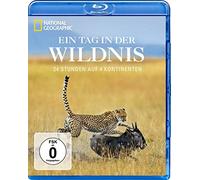 Ein Tag in der Wildnis - 24 Stunden auf 4 Kontinenten - National Geographic [Francia] [Blu-ray]