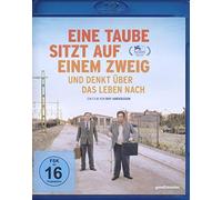 Eine Taube sitzt auf einem Zweig und denkt über das Leben nach (Blu-ray)