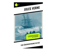 Eine Überwinterung im Eise: Ein Abenteuerroman über Überleben und Isolation in der eisigen Arktis des 19. Jahrhunderts