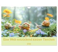 Eine Welt entzückend kleiner Tierchen (Wandkalender 2026 DIN A4 quer), CALVENDO Monatskalender: Kleine Tiere in der Natur