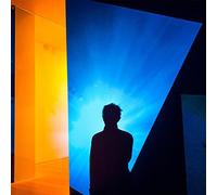 Einerbande - Diary of a Bad Man (Inside-Out) [Vinilo]