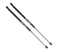 EINPARTS Amortiguador de maletero EP10169GS ambos lados 565 315 215