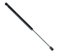 EINPARTS Amortiguador de maletero EP10271GS 440 450/500 160 Compatible con RENAULT MEGANE I BA0/1 Megane I Furgoneta/Hatchback SA0/1, DACIA Solenza B41