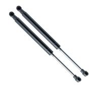 EINPARTS EP9155GS Amortiguador de maletero