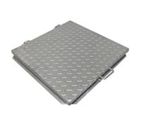 EINSIDE Tapa para registro de cisterna galvanizada en caliente, 100x100 cm