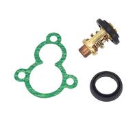 EirenePer Termostato 66M-12411-00 66M-12411-01 6G8-12411-02 66M-12411-03 60°C 140°F Compatible con Motor fueraborda de 4 Tiempos 40 50 60 80 100